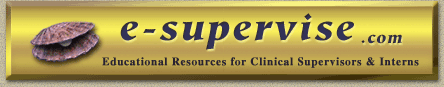 e-supervise.com